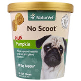 No Scoot with Pumpkin