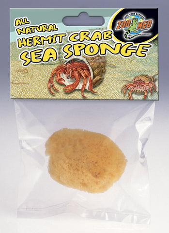 ONE Piece Hermit Crab Sponge I Hermit Crab Drinking Sponge I Small 2-4  Hermit Crab Tank Sponges 