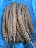 Millet Per Sprig