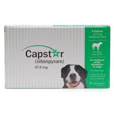Capstar (6 Tablet Pack)