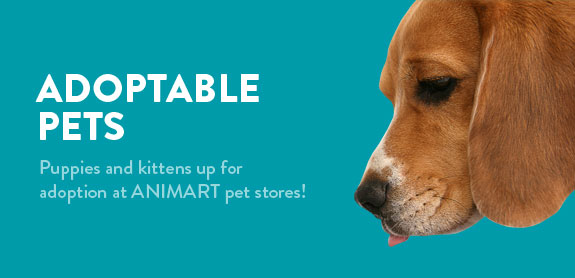 Animart Pet Stores, Inc.